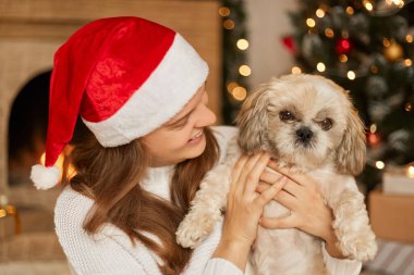 Noel Baba şapkalı mutlu bir kız, arka planda sevimli bir köpekle sarılıyor. Güzel bir Noel ağacı, festival odasında ışıklar, sıcak tatil atmosferik anları, oturma odasında sahibinin yanında Pekin yemeği..