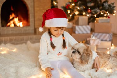 Kız çocuk Noel 'i evde Pekin köpeğiyle kutluyor, Noel ağacının yanında, yerde oturuyor, evcil hayvanına sarılıyor ve çelengin ışıklarına bakıyor, beyaz kazak ve Noel Baba şapkası giyen çocuk.