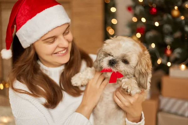 Liten Rolig Söt Hund Kvinna Suddig Jul Bakgrund Valp Med — Stockfoto