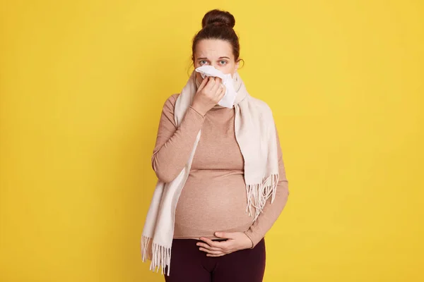 Pregnant Woman Sneezing Having Cold Blowing Runny Nose Touching Her — Stock Photo, Image