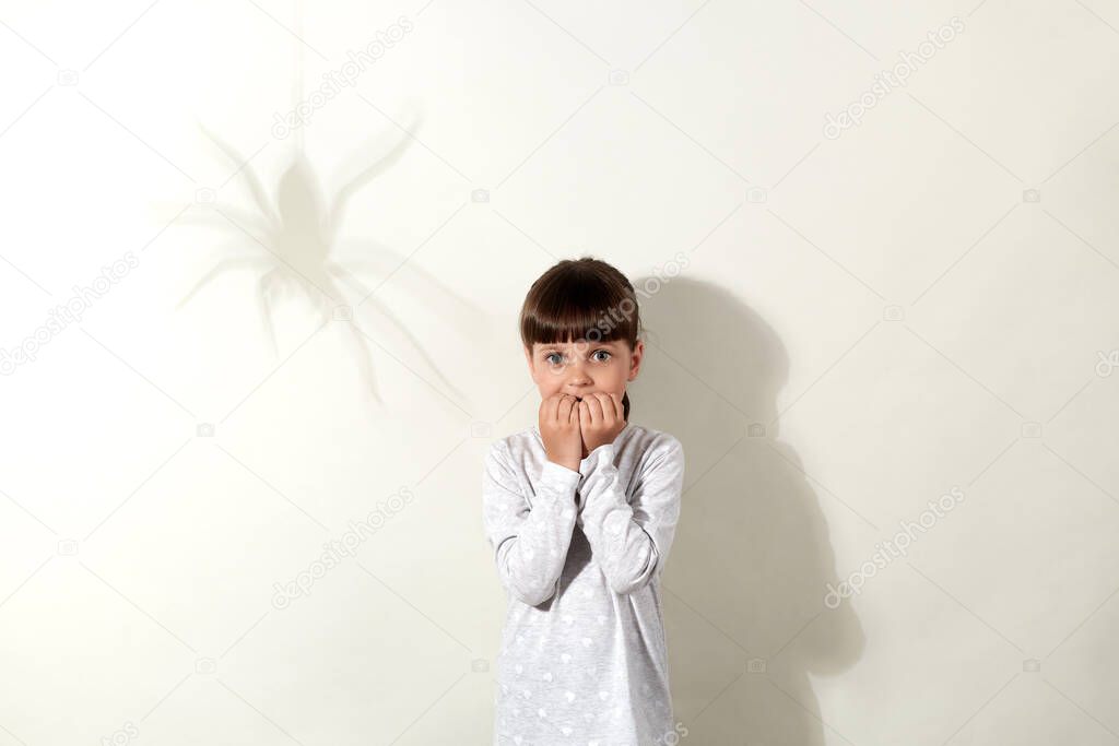 Arachnophobia. Scared little girl with dark hair and shadow of spider on wall, small kid looking directly at camera with big frightened eyes and biting her fingernails, dresses casually.