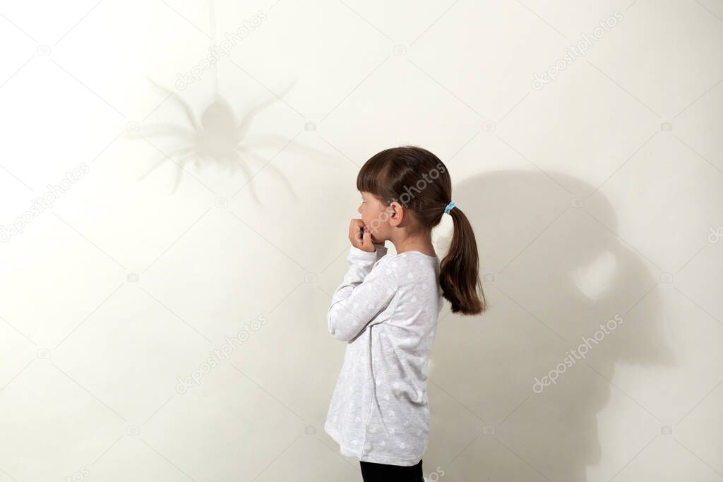Childhood fears. Side view of small dark haired girl wearing white casual shirt having fear of insects, looking at shadow of spider on wall and biting fingernails, isolated over gray background.