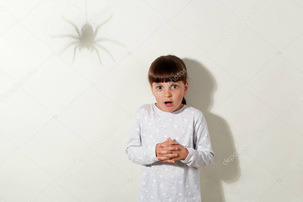 Scared to death child stands motionless and looking at camera with big frightened eyes, sees shadow of spider on wall, fears of insects, wearing casual attire, isolated over gray background.