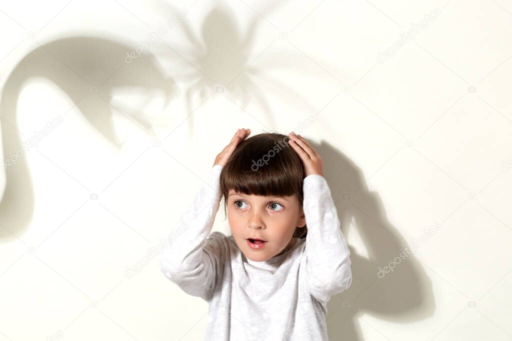 Little adorable girl being scared by shadows of snake and spider on the wall, looking away with frightened expression, keeping hands on her head, isolated over gray background.