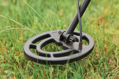 Arka planda metal detektör bobini var. Yeşil çimen, yer, alan, çayır. Hazine arıyorum. Metal dedektörü. Kimse..