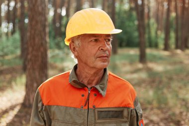 Portrait of mature woodsman posing in forest in open air and looking away with pensive expression, wearing uniform and yellow helmet, log inspecting territory.