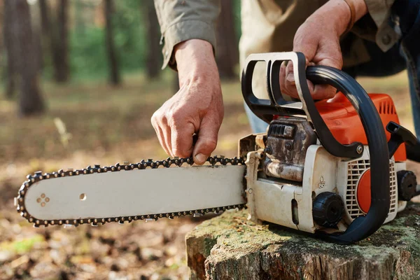 Faceless logger preparing chainsaw for work, cheking saw for faults, unknown logger forester with professional tool for cutting trees on background of forest.