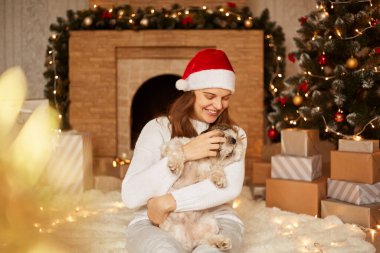 Beyaz süveter giyen, kırmızı Noel Baba şapkalı, şöminenin yanında Pekin köpeğiyle oynayan güzel bir kadın ve yumuşak halıda oturan bir Noel ağacı..