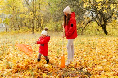 Bir çocuk ve bir yetişkin, sonbaharda bir parkta canlı sarı ve turuncu yapraklar tırmıklıyorlar. Sahne neşeli ve hayat dolu..