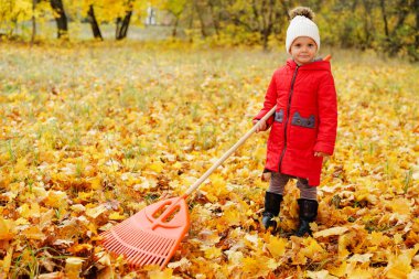 Kırmızı ceketli küçük bir çocuk, sarı ve turuncu yapraklarla dolu bir parkta canlı sonbahar yaprakları toplamak için tırmık kullanıyor..