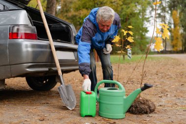 Yaşlı bir adam, sonbaharda park halindeki arabasının yanında kürek kullanırken yeşil sulama kutusuyla genç bir ağacı sulamak için eğilir..