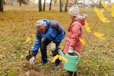 İki birey yere bir çukur kazarak genç bir ağaç dikmeye hazırlanıyor. Sahne, parktaki canlı düşen yaprakları gösteriyor. Toplumun katılımını vurguluyor..