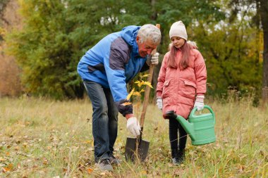Yaşlı bir adam genç bir kıza renkli sonbahar yapraklarıyla çevrili yemyeşil bir alanda ağaç dikmesine yardım eder. Her ikisi de serin hava için kalın elbiseler giyerler..