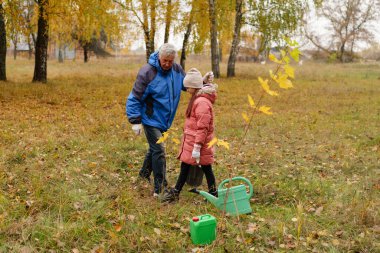 Sonbaharda iki kişi sıcak bir günün tadını çıkarırken ağaçlar dikerek parkta yürür. Sahne, yakınlarda dökülen yaprakları ve yeşil bahçe aletlerini gösteriyor..