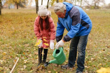 Bir adam ve bir kız, sonbahar yapraklarıyla dolu bir parkta ağaç dikmeye katılıyorlar, doğayla ilgilenirken neşeli anları paylaşıyorlar..