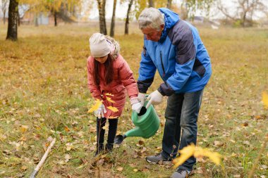 Sonbaharda huzurlu bir parkta, yaşlı bir adam genç bir kıza yeni dikilmiş ağaçlarla nasıl ilgileneceğini gösterir. Birlikte eğlenceli bir öğrenme anını paylaşıyorlar..