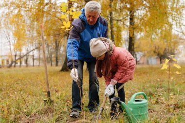 Yaşlı bir adam genç bir kıza rehberlik eder. Parkta bir ağaç dikerler. Etrafı renkli sonbahar yapraklarıyla çevrilidir..