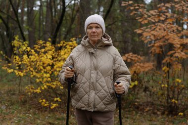 Son sınıf öğrencisi bir kadın, elinde yürüyüş direkleri olan bir sonbahar ormanında ağaçlardaki canlı sarı ve turuncu yapraklarla, huzurlu doğanın tadını çıkarıyor..