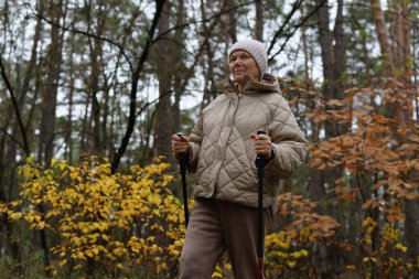 Huzurlu bir ormanda sıcak yürüyüşler yapan yaşlı bir kadın elinde uzun, renkli sonbahar yaprakları ve ağaçlarla çevrili yürüyüş direkleri tutuyor..