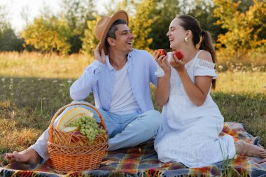 İki kişi bir tarlada battaniyenin üzerinde oturuyor. Gülümser ve meyveleri paylaşırlar. Yakınlarda bir piknik sepeti var. Arka planda güneş parlıyor..