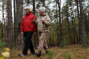 İki insan ormanda yürüyüş çubuklarını kullanarak birlikte yürür. Kalın giysiler giyiyorlar ve etrafları ağaçlarla ve sonbahar yapraklarıyla çevrili..