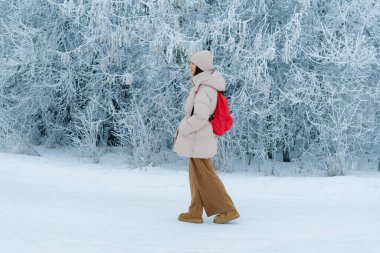 Karlı bir patika boyunca, etrafı karla kaplı ağaçlarla çevrili bir insan yürüyor. Dekor, kar ve soğuk havayla tipik bir kış gününü gösteriyor..