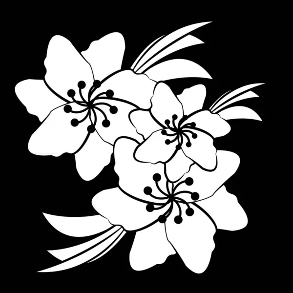 花在黑色的背景上被隔离 白色的花 — 图库矢量图片