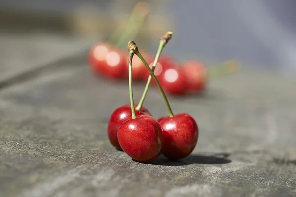 Cherries in the evening light — Stock Photo, Image