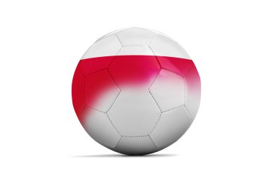 Euro 2016. C grubu, Polonya