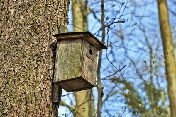 Fågel hus i träd — Stockfoto