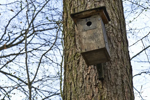 Casa de pássaros na árvore — Fotografia de Stock