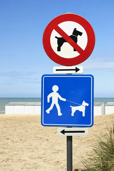 No hay perros en la playa y perros con correa solamente — Foto de Stock