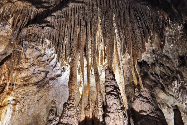 Estalagmites, Colunas e cortinas em Han Caverns, Bélgica — Fotografia de Stock