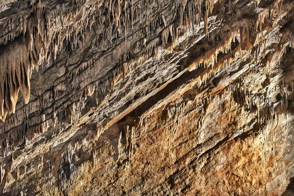 Stalagmity, sloupy a závěsy v Han jeskyních, Belgie — Stock fotografie