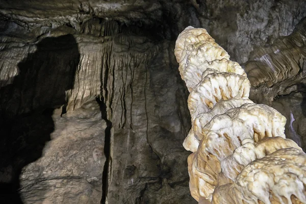 Stalagmity, sloupy a závěsy v Han jeskyních, Belgie — Stock fotografie