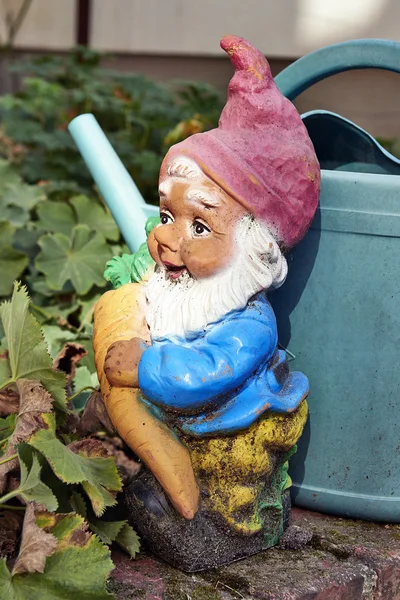 Gnome holding carrot and watering can — Stock Photo, Image