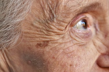 Yaşlı bir kadın portresi detay