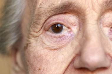 Yaşlı bir kadın portresi detay