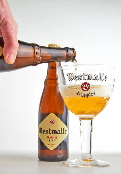 Bruxelles Belgio Novembre 2020 Bottiglia Mano Maschile Versano Bicchiere Autentico — Foto Stock