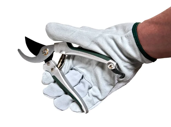 Male Hand Glove Holding Garden Scissor Tool Isolated White Clipping — Stock Photo, Image