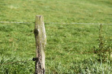 Kırsal ülkede yol dikenli 