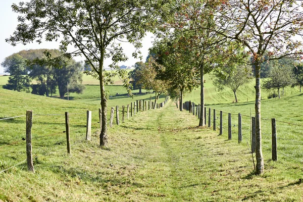 Strada rurale di campagna attraverso i campi — Foto Stock