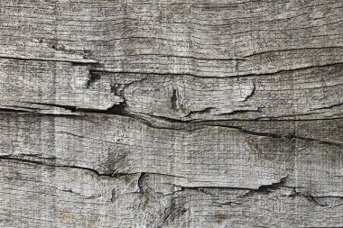 Ahşap ve düğüm doku arka plan