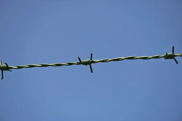 Grüner Drahtzaun — Stockfoto