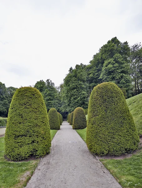 Jardin d'un parc public belge — Photo