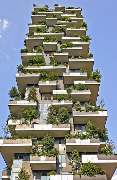 Vertical Forest apartment building in the Porta Nuova area of Mi — Stok fotoğraf