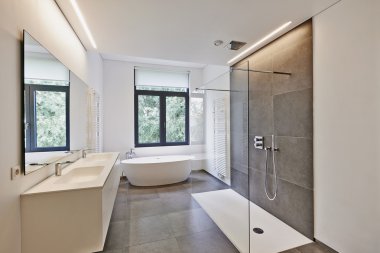Luxury modern bathroom clipart