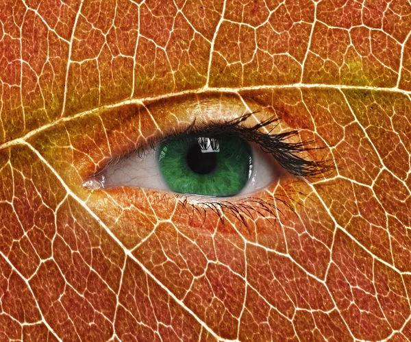 Yeux verts de près et texture des feuilles . — Photo