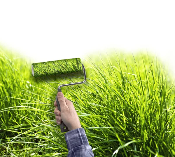 Menselijke hand met roller schilderij waar gras op witte muur — Stockfoto