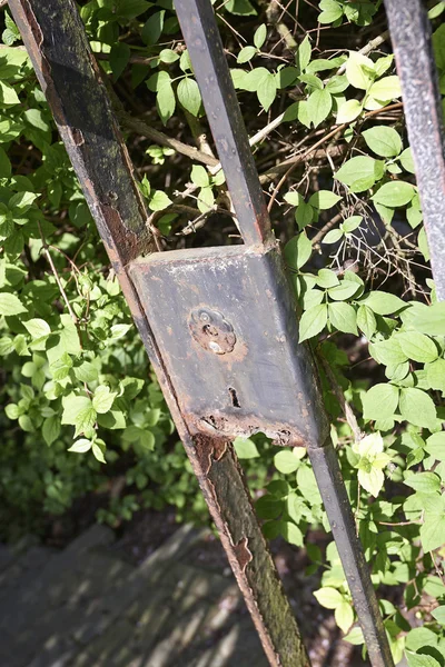 Entrance of the garden — Stock Photo, Image